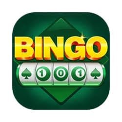 Bingo 101